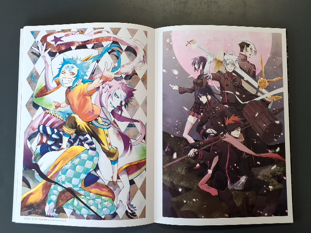 D. Gray man illustrations